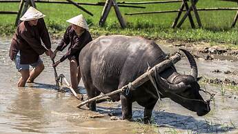 Four Seasons Resort The Nam Hai, Hoi An, Vietnam