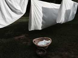 Oak Grove Bed and Breakfast