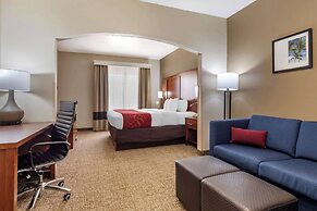 Comfort Suites Shreveport West I-20