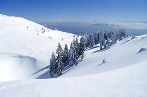 Jiva Hill Resort - Genève
