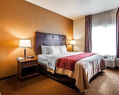 Comfort Inn & Suites Grinnell near I-80