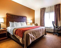 Comfort Inn & Suites Grinnell near I-80