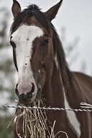 Montelucci Country Resort & Agriturismo di Charme