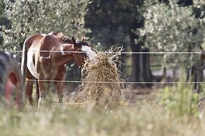 Montelucci Country Resort & Agriturismo di Charme