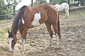 Montelucci Country Resort & Agriturismo di Charme