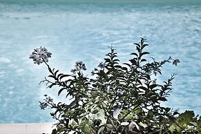 Montelucci Country Resort & Agriturismo di Charme