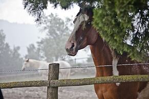 Montelucci Country Resort & Agriturismo di Charme