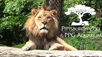 Hampton Inn & Suites Pittsburgh-Downtown