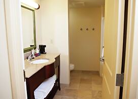 Hampton Inn Martin