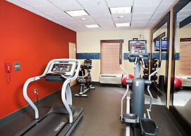 Hampton Inn Martin