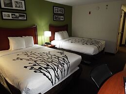 Sleep Inn And Suites Laurel