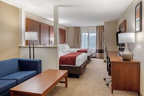 Comfort Suites Speedway - Kansas City