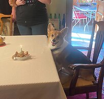 The Queen, A Victorian Bed & Breakfast