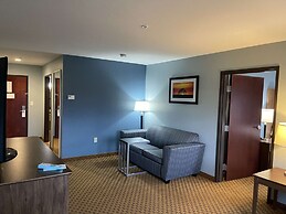 Best Western South Plains Inn & Suites