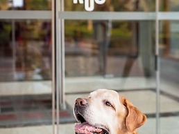 ibis Madrid Calle Alcala