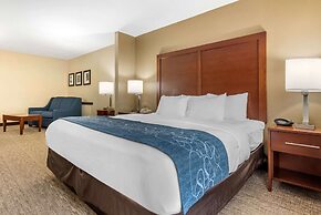 Comfort Suites Dayton-Wright Patterson