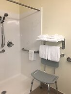 Microtel Inn & Suites by Wyndham Indianapolis Airport
