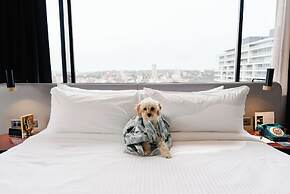 Hotel Indigo Sydney Potts Point by IHG