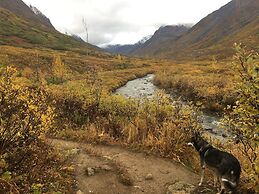Hatcher Pass Cabins