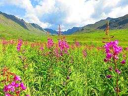 Hatcher Pass Cabins