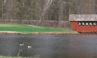 Jack O'Lantern Resort and Golf Course