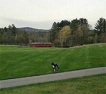 Jack O'Lantern Resort and Golf Course