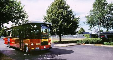 The Majestic Regency Resort