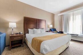 Comfort Inn & Suites Mitchell I-90