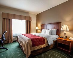 Comfort Inn & Suites Davenport - Quad Cities