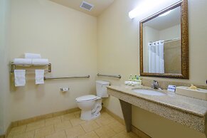 Holiday Inn Express Hotel & Suites Terrell by IHG