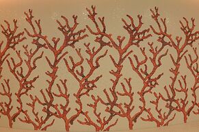 Rocco Forte The Charles Hotel