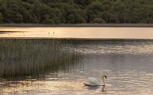 Lough Erne Resort
