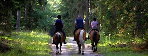 Lord Haldon Country Hotel, Sure Hotel Collection by Best Western