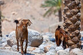 Six Senses Zighy Bay