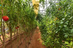 Six Senses Zighy Bay