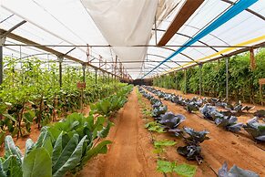 Six Senses Zighy Bay