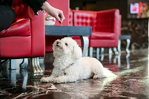 ARCOTEL Kaiserwasser Vienna