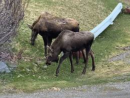 Alaska Halcyon Heights Inn