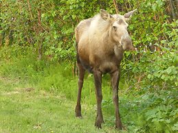 Alaska Halcyon Heights Inn