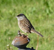 Alaska Halcyon Heights Inn