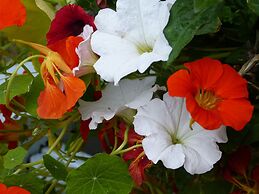 Alaska Halcyon Heights Inn