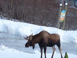 Alaska Halcyon Heights Inn