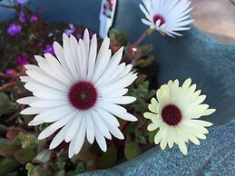 Alaska Halcyon Heights Inn