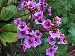 Alaska Halcyon Heights Inn