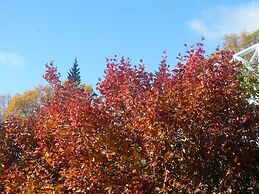 Alaska Halcyon Heights Inn