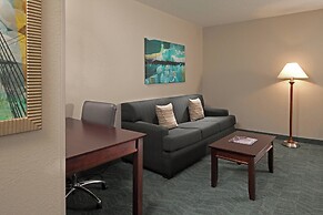 Springhill Suites Marriott Baltimore Downtown/Inner Harbor
