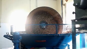 Agriturismo Antico Borgo Poggitazzi