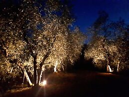 Agriturismo Antico Borgo Poggitazzi