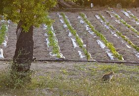 Hotel Villa Favorita