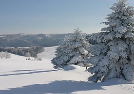 Waldhotel Kreuztanne